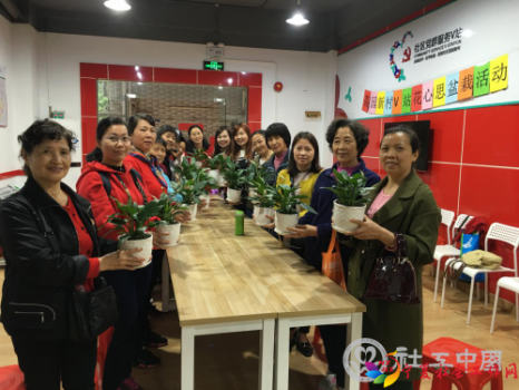花心思盆栽活动