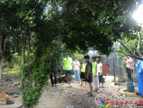 微信截图_20210727095001
