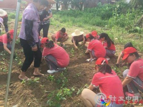 微信图片_20190520154733