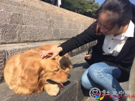 微信图片_20210112112221