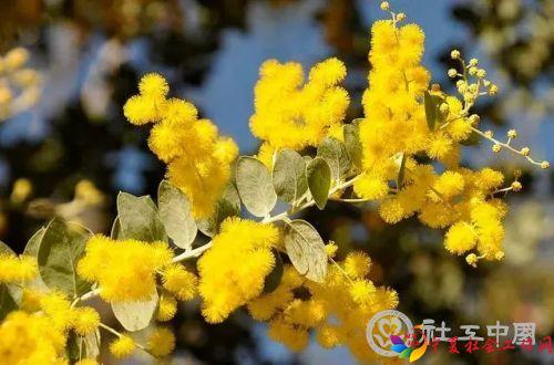 微信图片_20221103093410