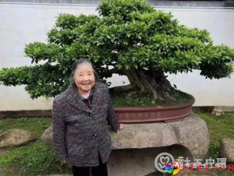 微信图片_20191105091116