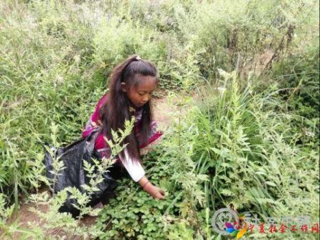 微信图片_20201026162713